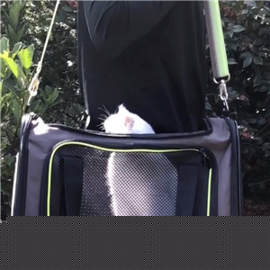 pet bags per carrier oem odm factory g.jpg